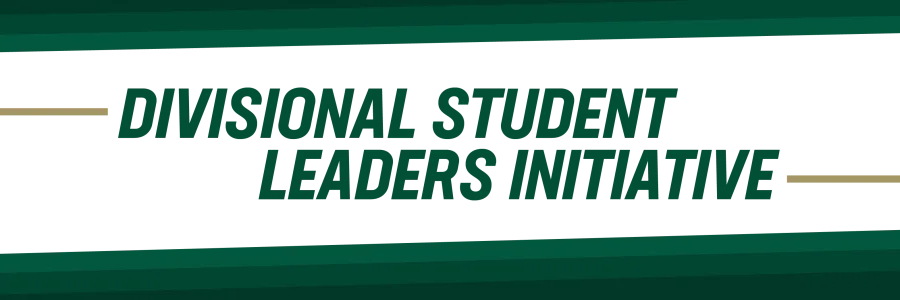 Divisional Student Leaders Initiative logo