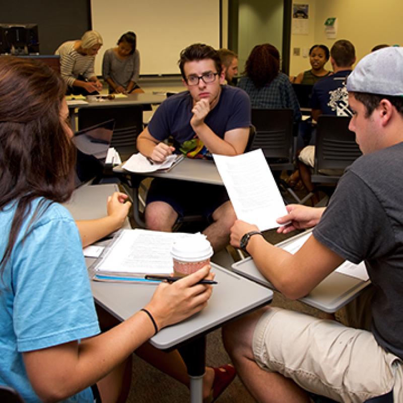 Group of students studying together.