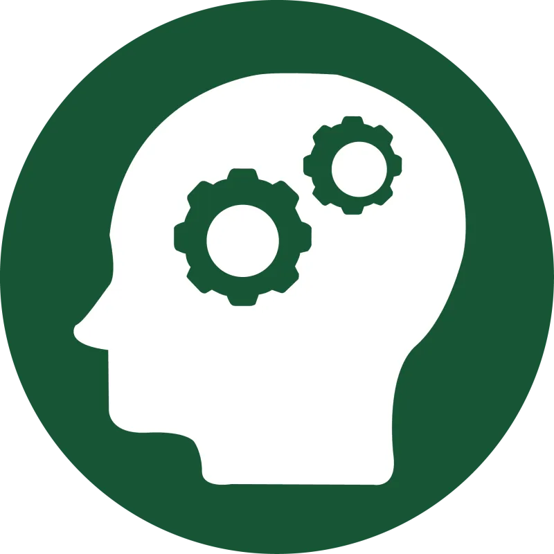 Critical Thinking Icon